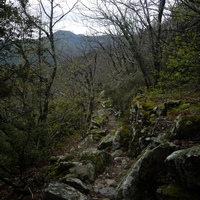 Photo de france - La randonnée du Mont Caroux